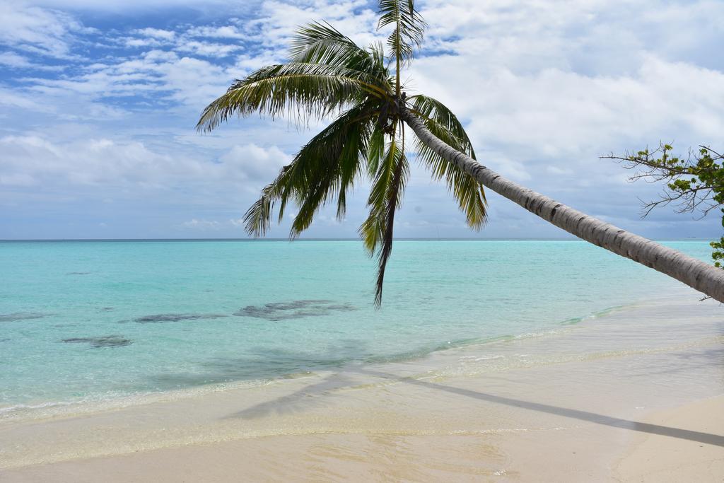 Sancia Lodge Fulidhoo Exterior foto
